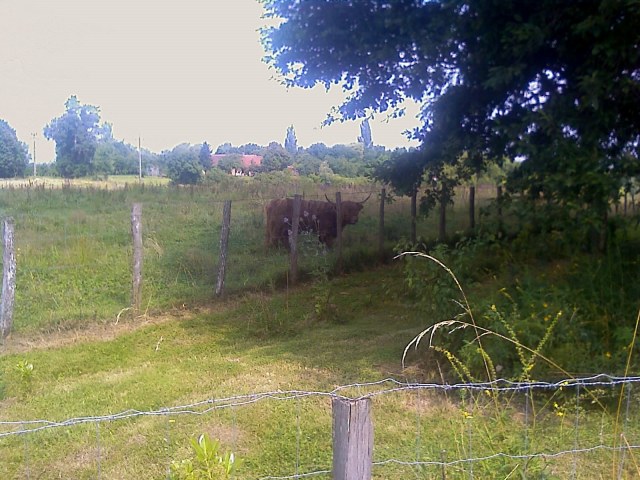 2008-07-29 Je veux rester_l.jpg